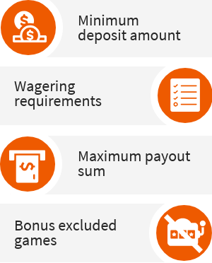 Important bonus terms